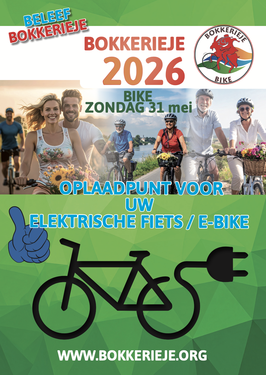 Bokkerieje BIKE oplaadpunten Oplaadpunt elektrische fietsen